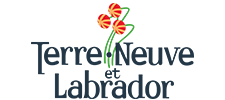 logo du gouvernement de Terre-Neuve-et-Labrador