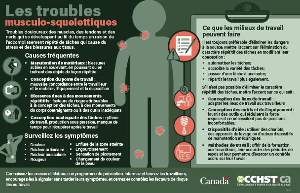 Aperçu une infographie décrivant les causes et symptômes des troubles musculo-squelettiques ainsi que les mesures qui peuvent réduire les risques et assurer la sécurité des employés en milieu de travail