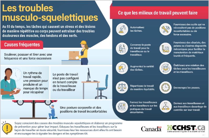 Aperçu une infographie décrivant les causes et symptômes des troubles musculo-squelettiques ainsi que les mesures qui peuvent réduire les risques et assurer la sécurité des employés en milieu de travail