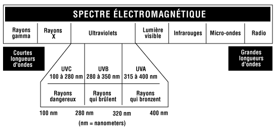 Figure 1 - Spectre électromagnétique