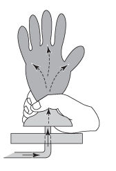 Figure 5 - Rouler deux fois le poignet et tenir le gant de la main droite