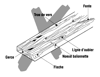 Ne pas utiliser des planches avec gros nœuds, trous de vers, fentes, etc.