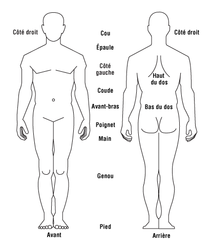 Diagramme des parties du corps