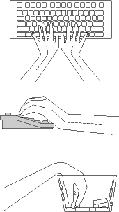 Figure 5 - Fléchir le poignet