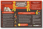 Infographie sur le levage en toute sécurité au travail