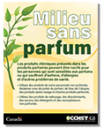 Milieu sans parfum