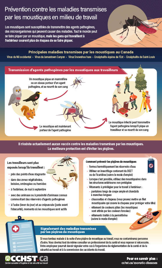 CCHST : Prévention contre les maladies transmises par les moustiques en ...