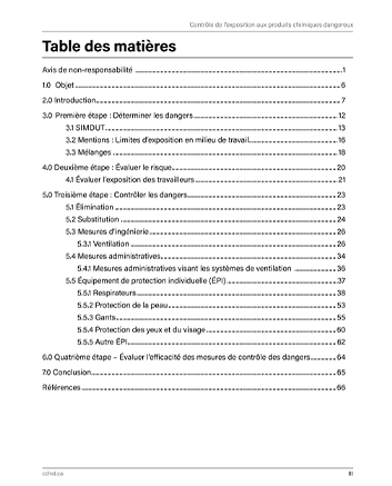 Aperçu de la table des matières de la publication