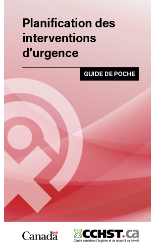 Image miniature de la couverture de la publication