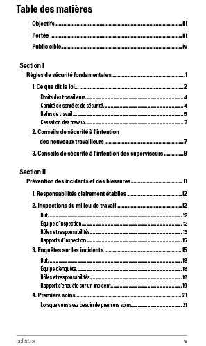 Aperçu de la table des matières de la publication