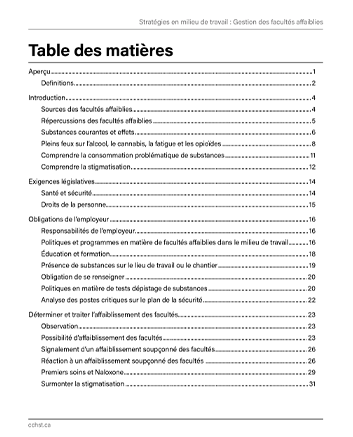 Aperçu de la table des matières de la publication